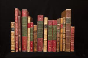 Books owned by Waldegraves