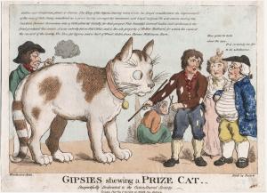Gipsies shewing a prize cat