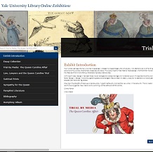 screenshot of online exhibition intro page
